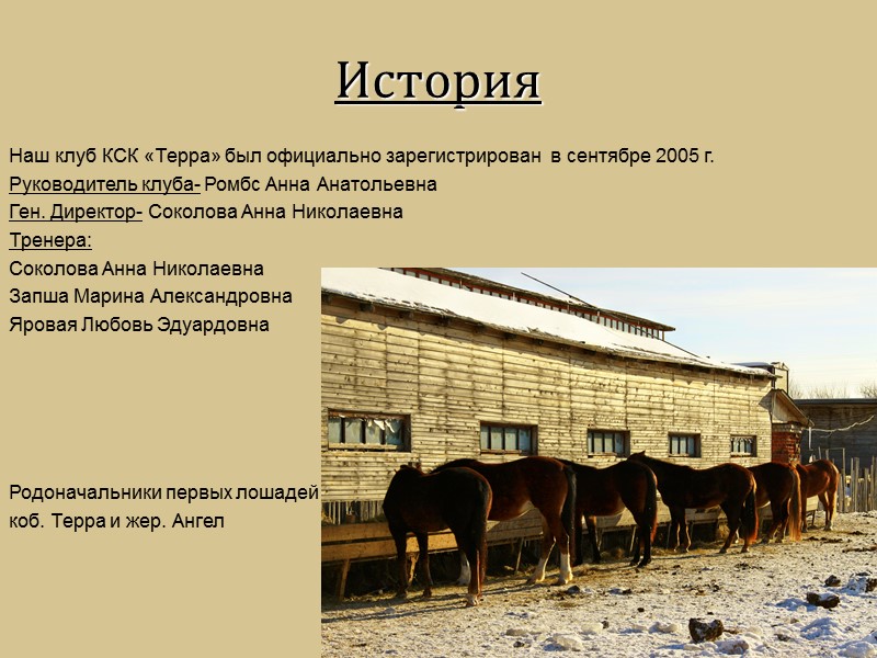 История Наш клуб КСК «Терра» был официально зарегистрирован  в сентябре 2005 г. Руководитель